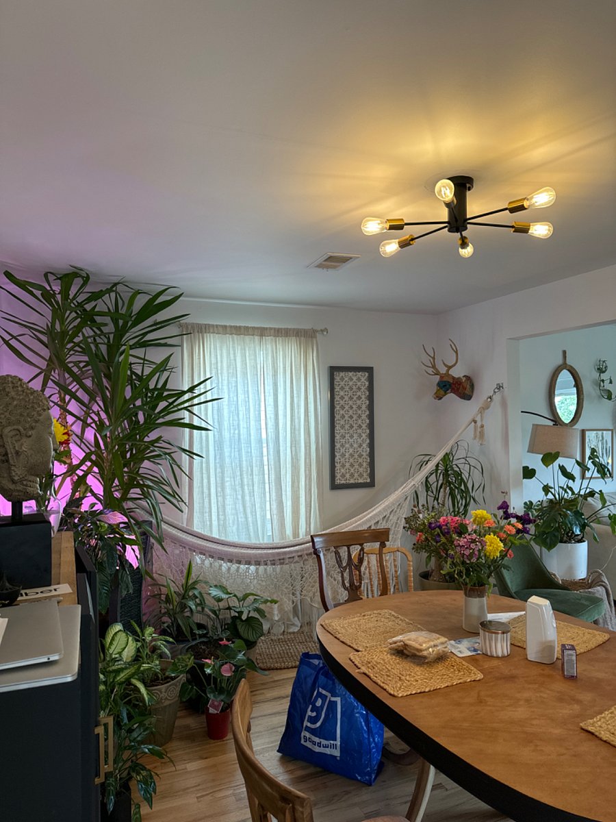 Furnished Finder property 605445_1 photo 28