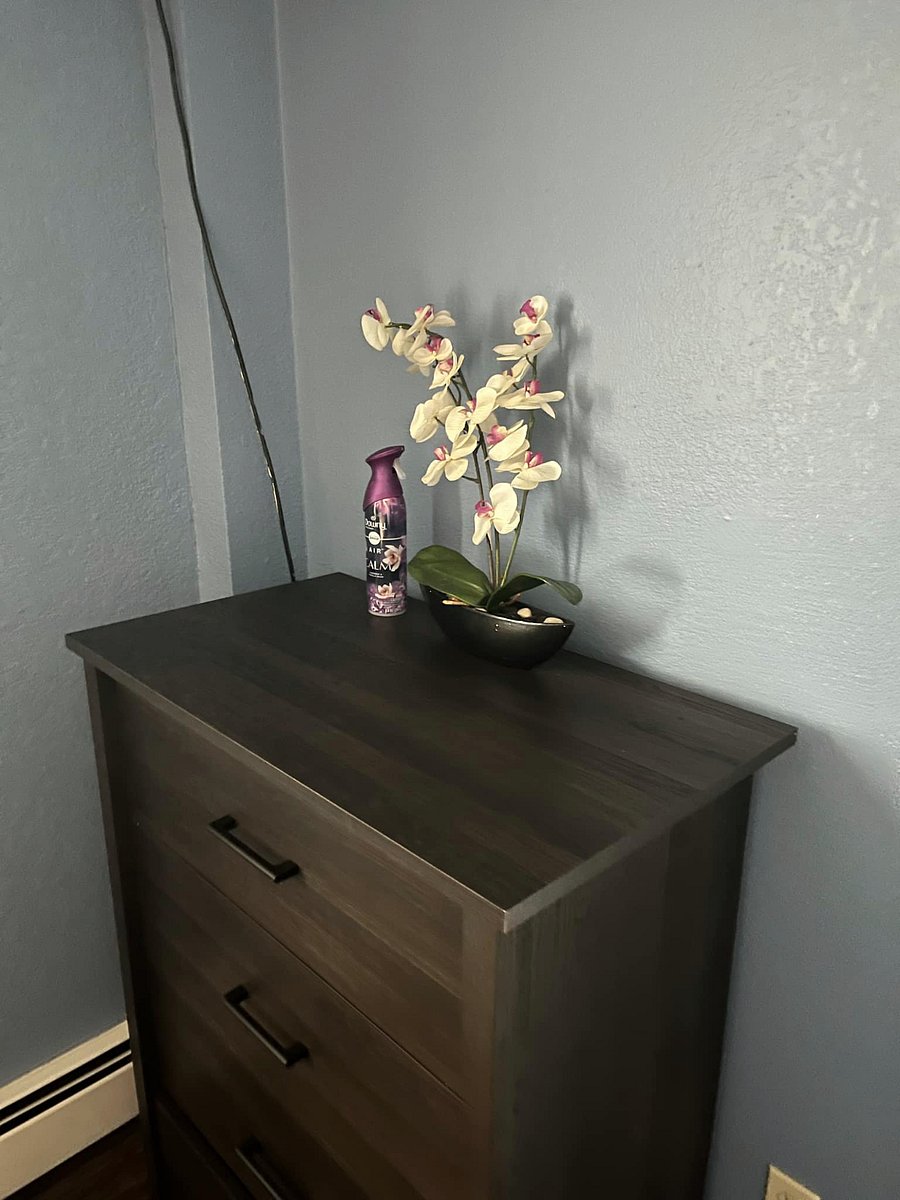 Furnished Finder property 605561_4 photo 7