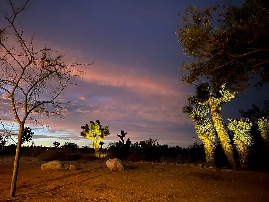 Stunning views of the property from morning 'til night.