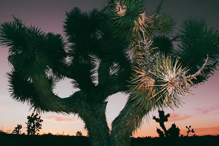 Enjoy awe-inspiring views throughout the property at sunset.