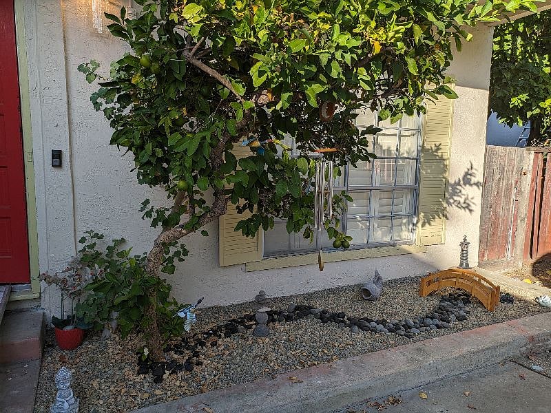 House Front - Mini Zen Garden