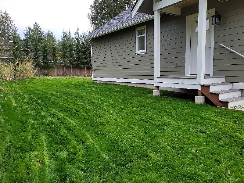 backyard lawn for guests