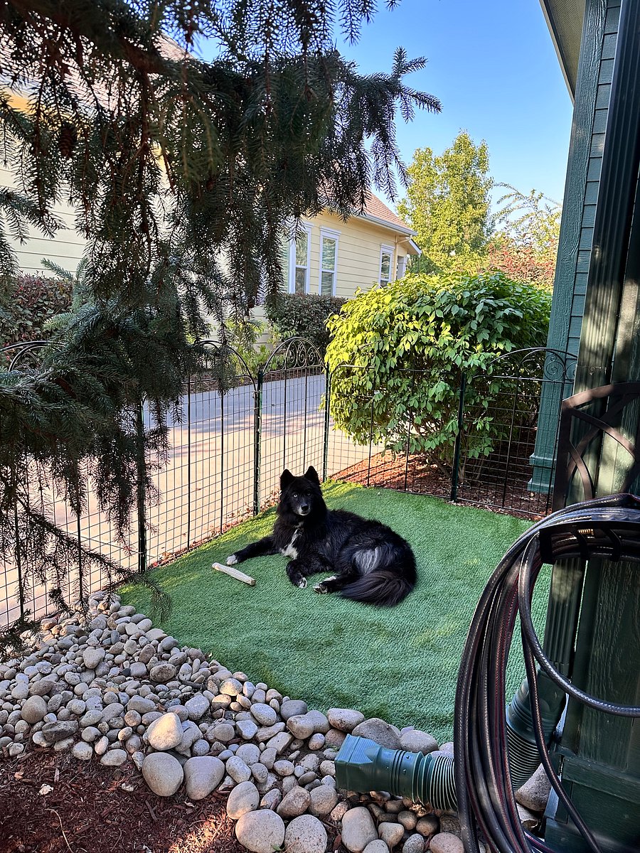 This is only about 1/4 of the back yard / patio