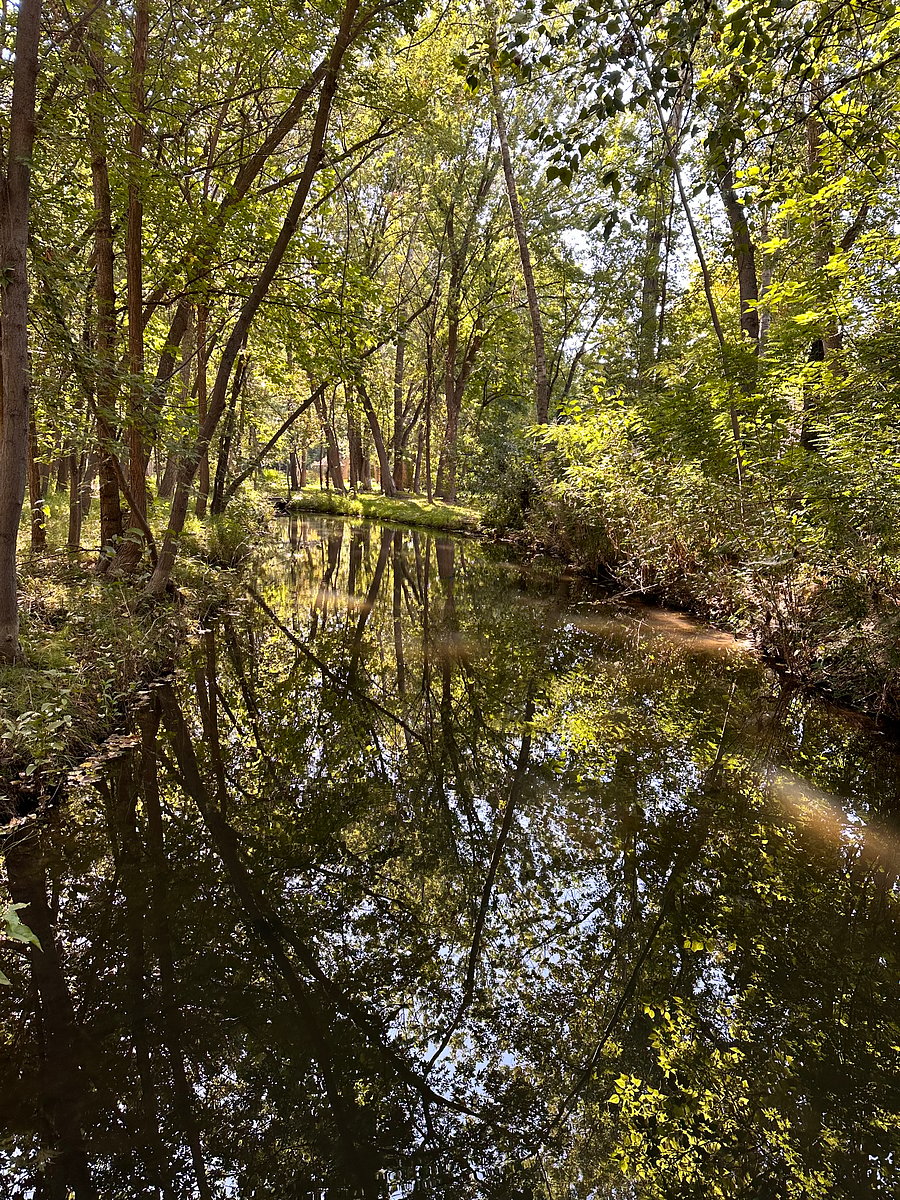 Part of the Boise River Greenbelt river system