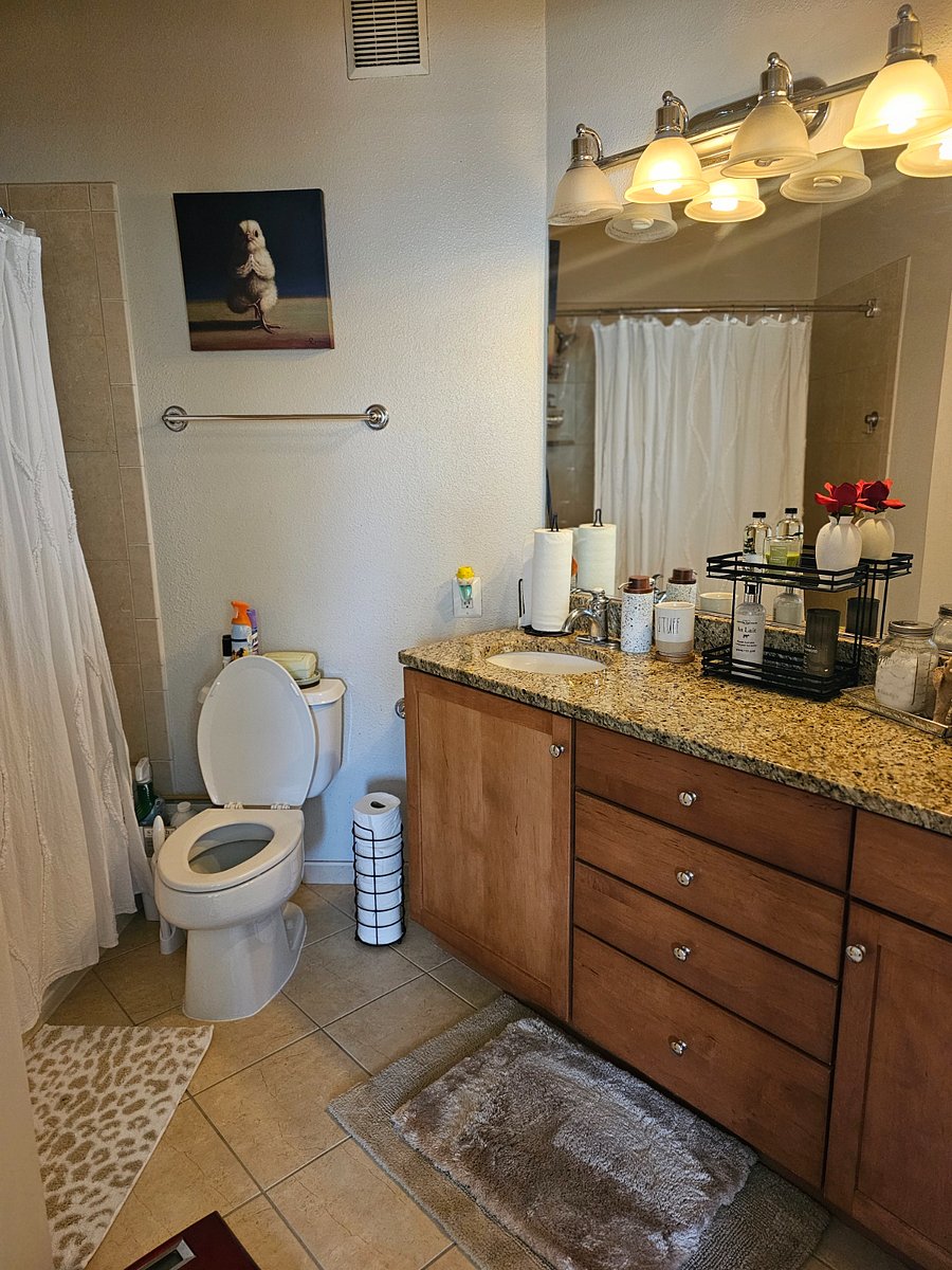 Furnished Finder property 605850_1 photo 12