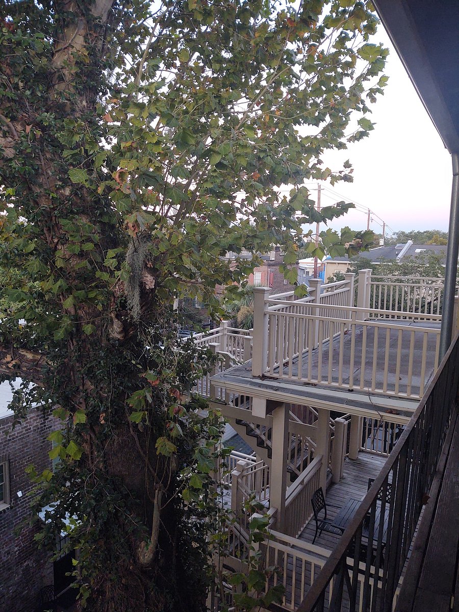 Furnished Finder property 605936_1 photo 23