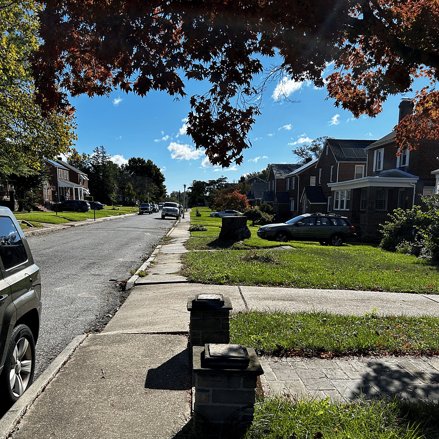Street view with plenty of parking.