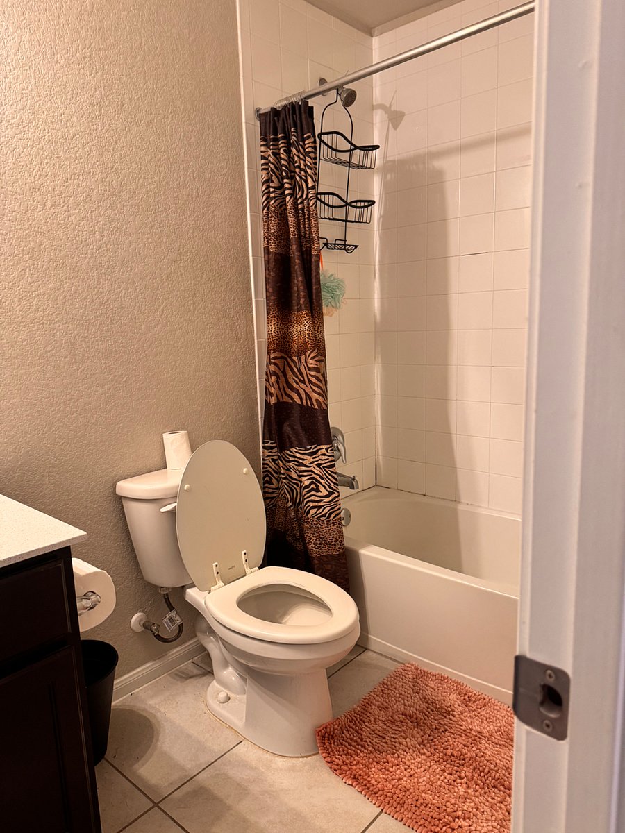Furnished Finder property 605994_1 photo 16