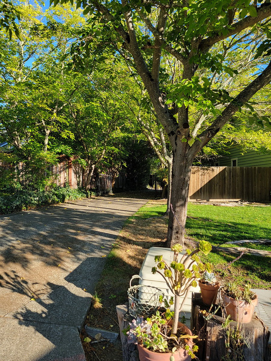 Tree lined driveway leads to your private, off street parking. Assigned spot is next to the stairs leading Smto your apartment.