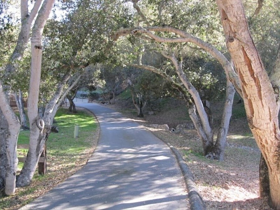 Entry Lane