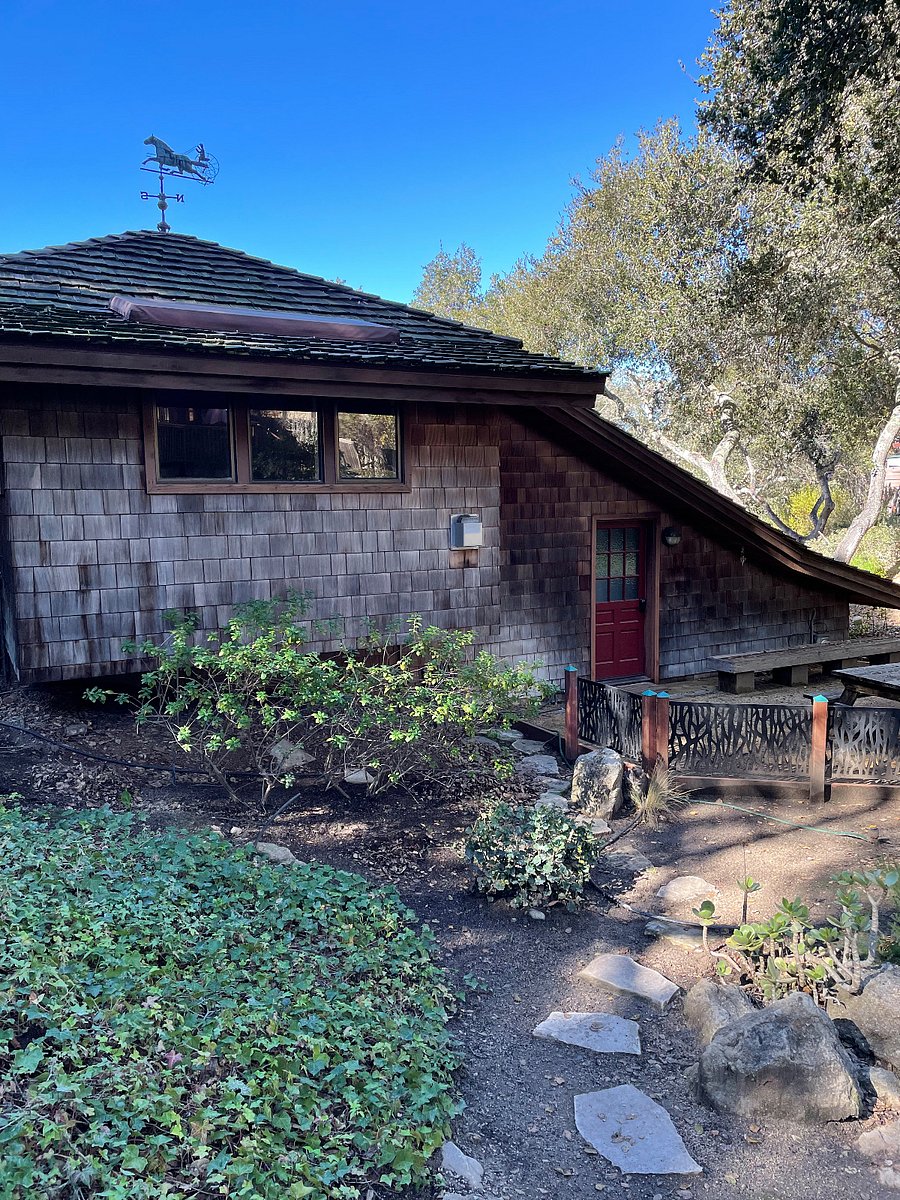 Rear House View