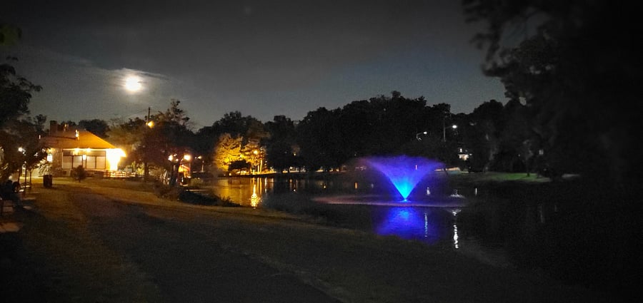 Evening park view