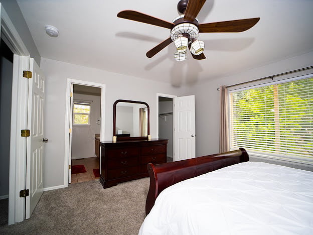 Furnished Finder property 606534_1 photo 13