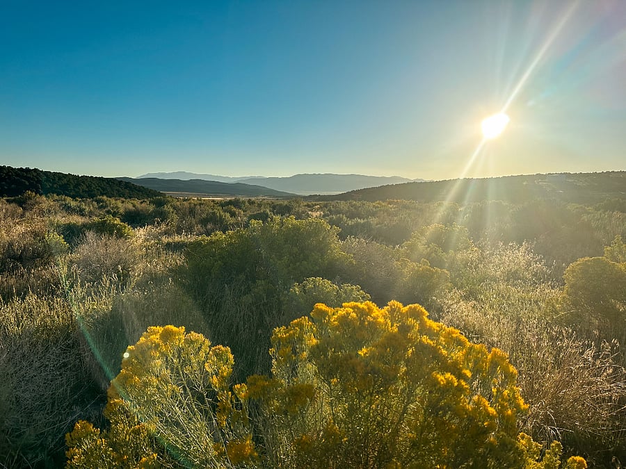 Mountain Views as you walk to the nearby trails. Only 2-3 minutes away