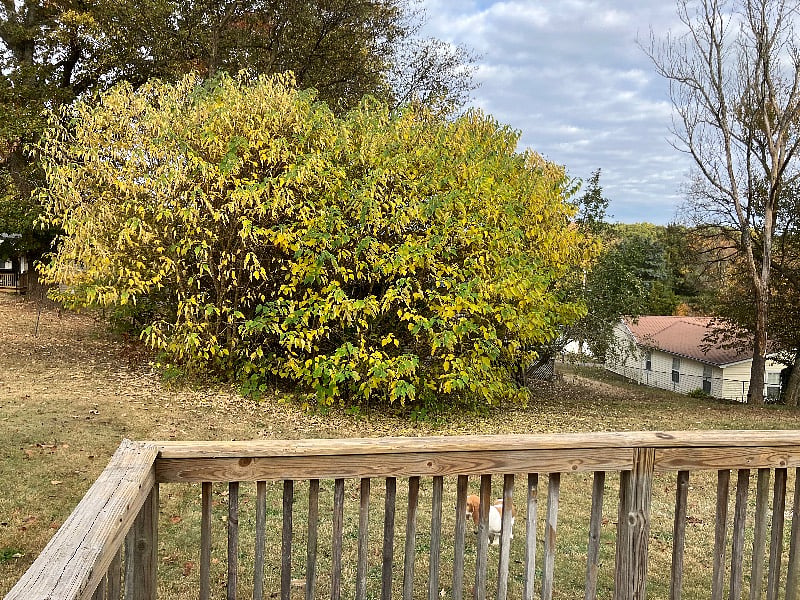 Furnished Finder property 606578_1 photo 15