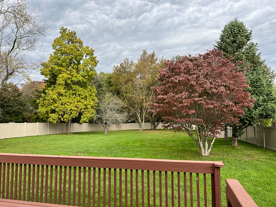 Furnished Finder property 606648_1 photo 3