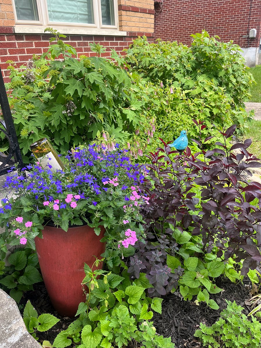 Furnished Finder property 606670_1 photo 21