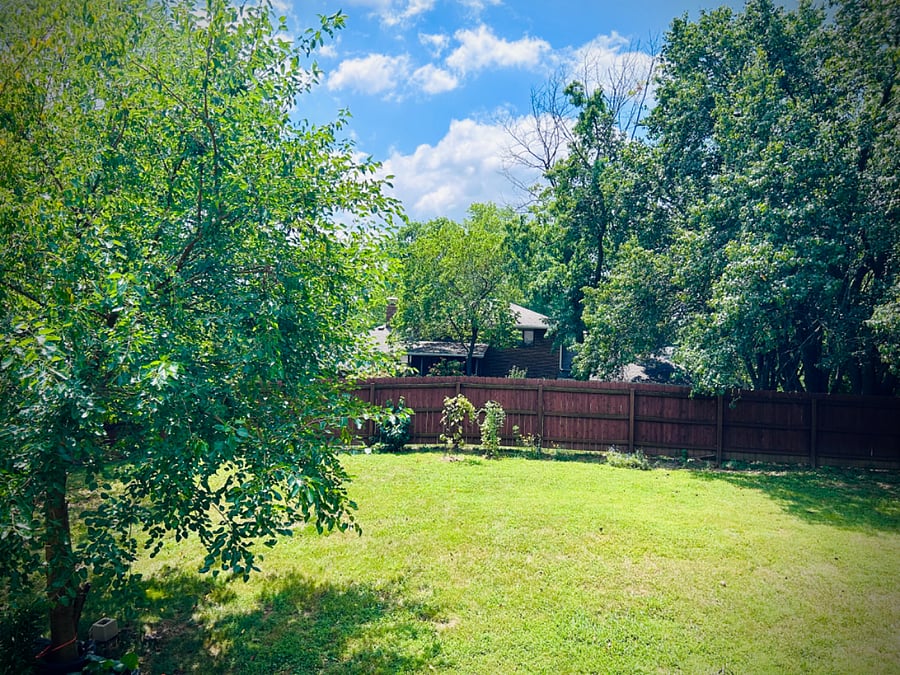 Back yard, fenced in, private, quiet