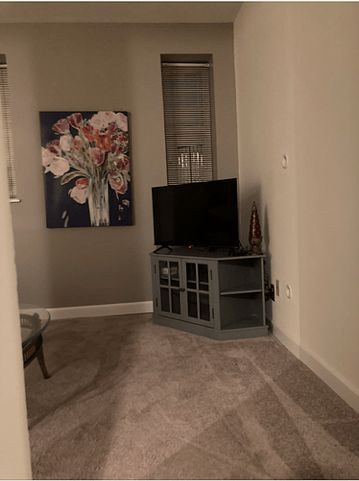 Furnished Finder property 606928_1 photo 18