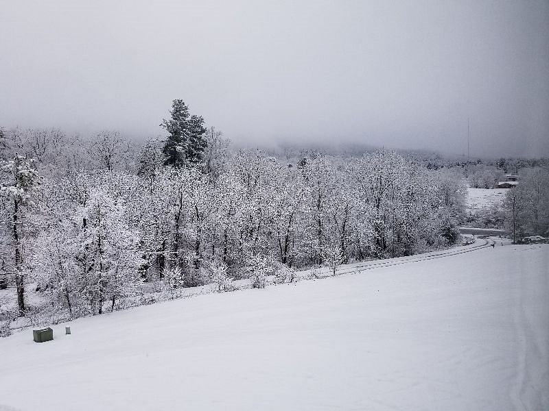 Asheville has mild winters because it is protected by the mountains. We don't get many days of snow but when we do it is absolutely beautiful. Plan skiing Cataloochee or Wolf Ridge, snow tubing at Moonshine Mountain and soak in the hot tub afterward.