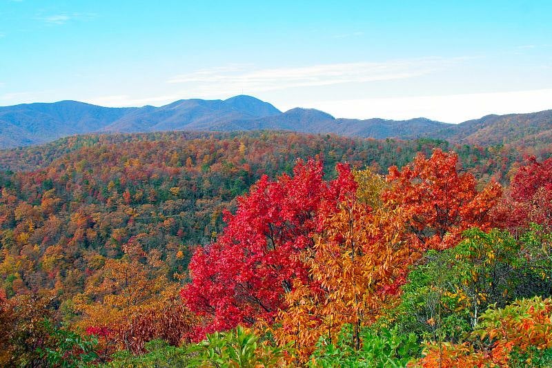Amazing Fall Colors at the Blue Ridge Parkway.