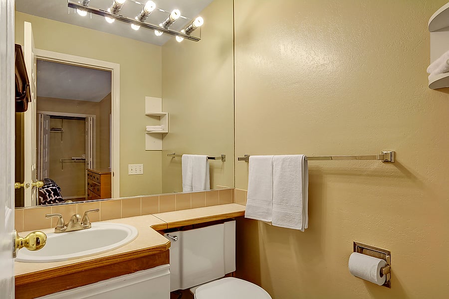 Half Bath in Master Bedroom
