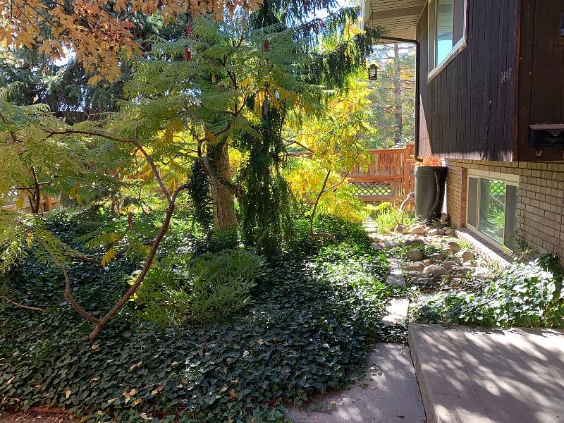 front entry