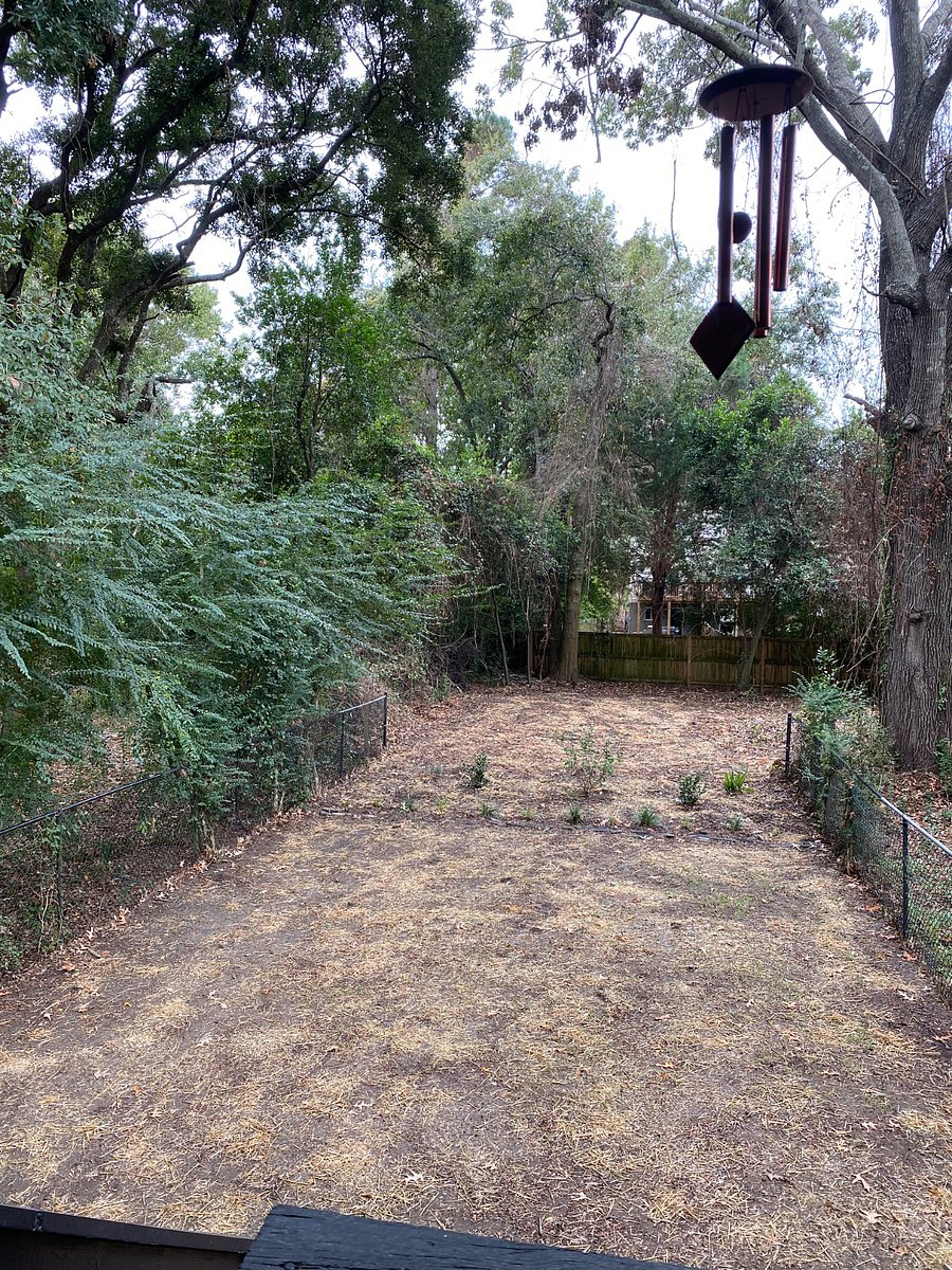 Furnished Finder property 607391_1 photo 35