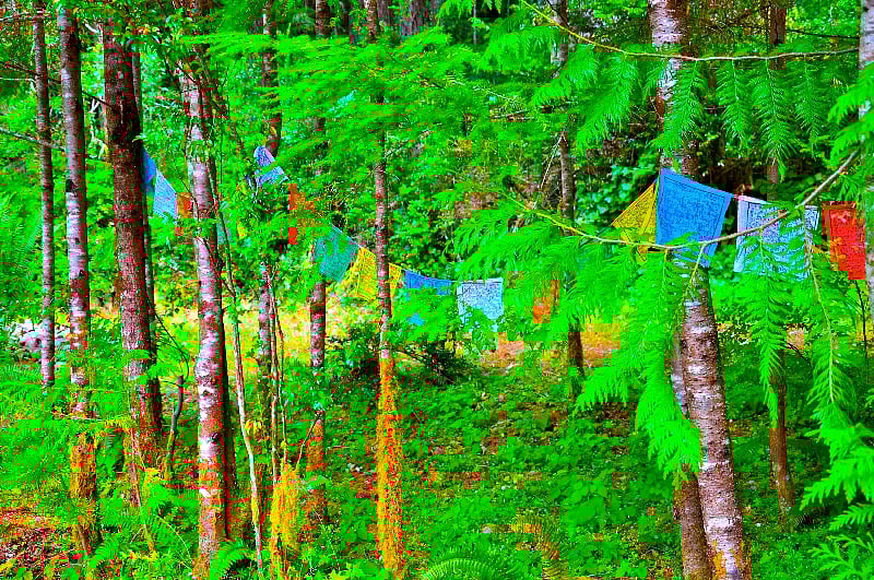 Tibetan prayer flags to meditation garden