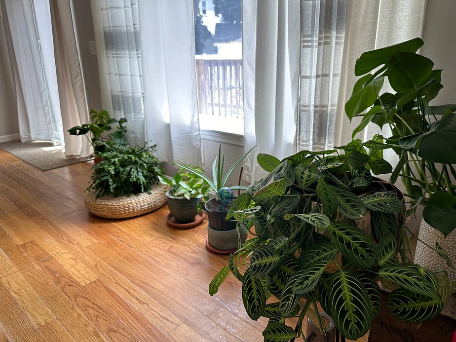 Furnished Finder property 607546_1 photo 3