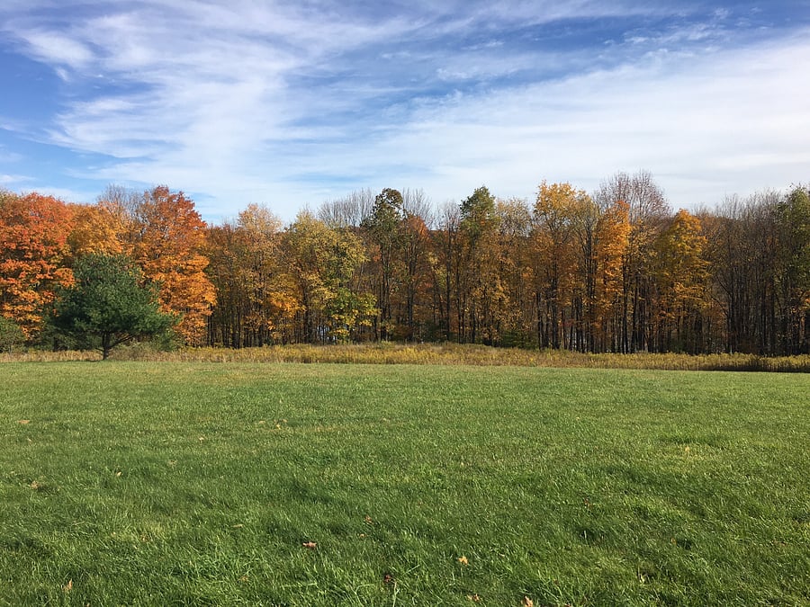 Lodge - Unit A Field during Fall season
