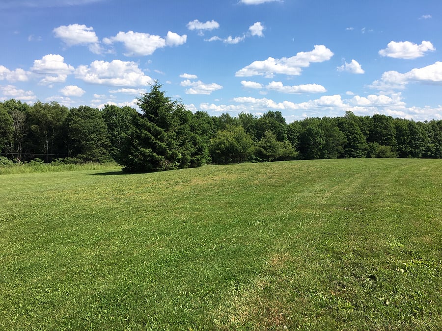Lodge - Unit A Grassy Field