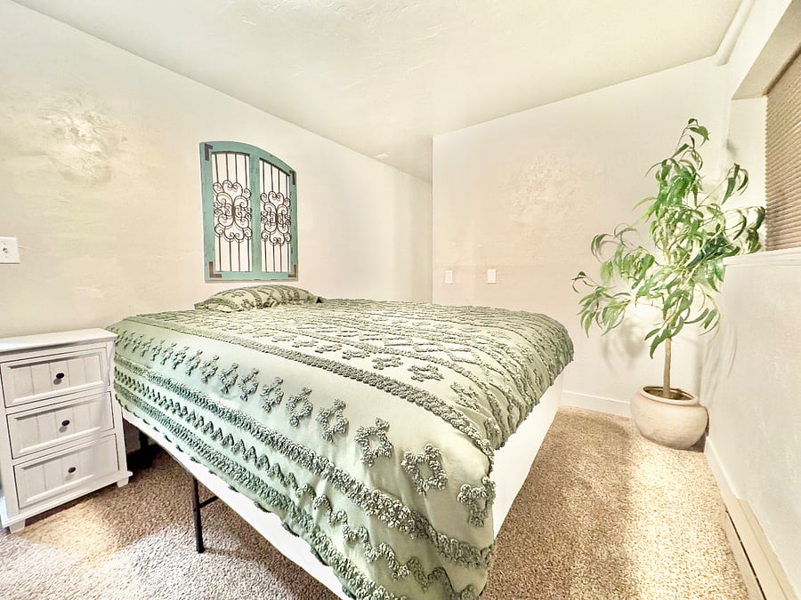Queen bed with walk in closet