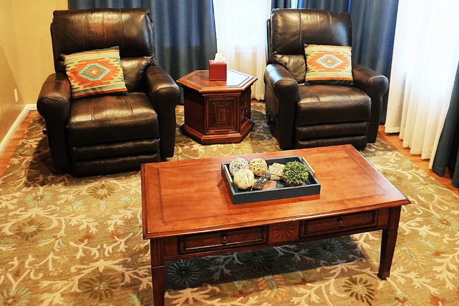 Leather Recliners in Living Room
