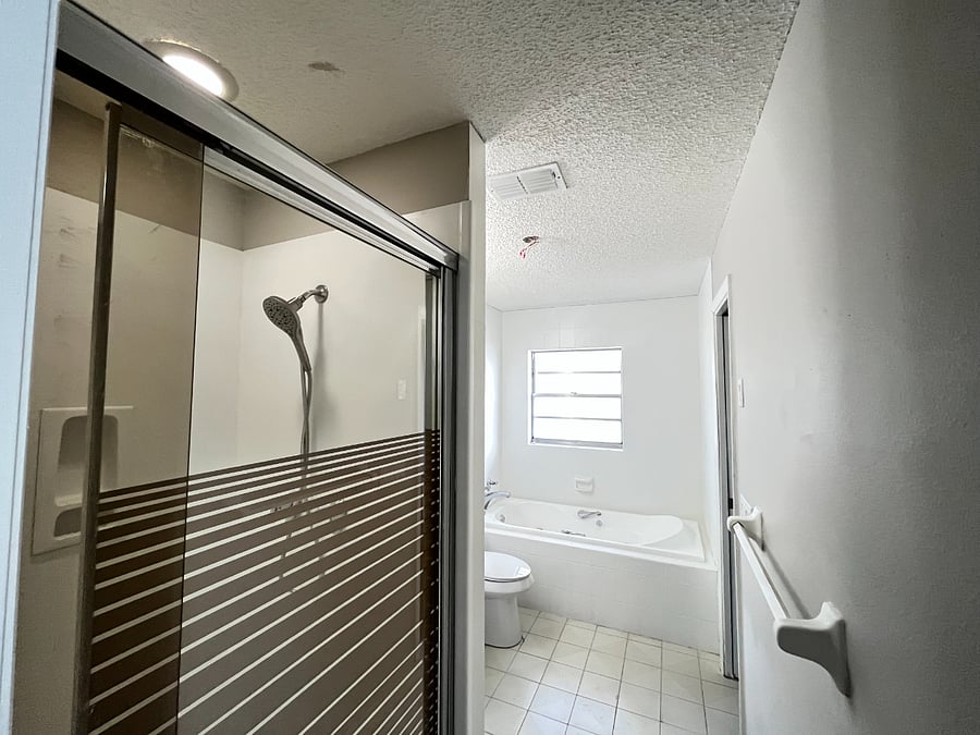 2nd bathroom with both standing shower and jacuzzi
