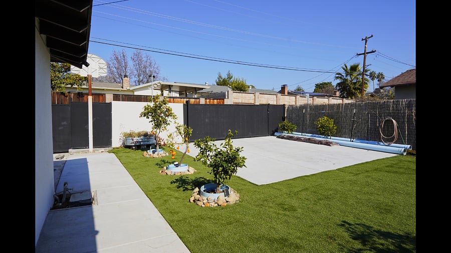 Fruit Trees Lined Backyard