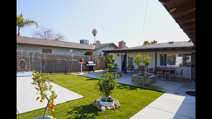 Backyard