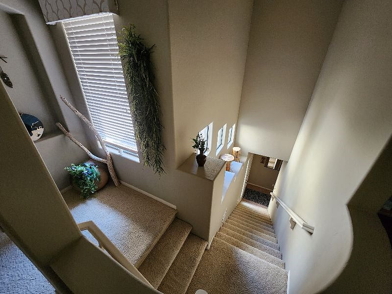 Furnished Finder property 608299_1 photo 3