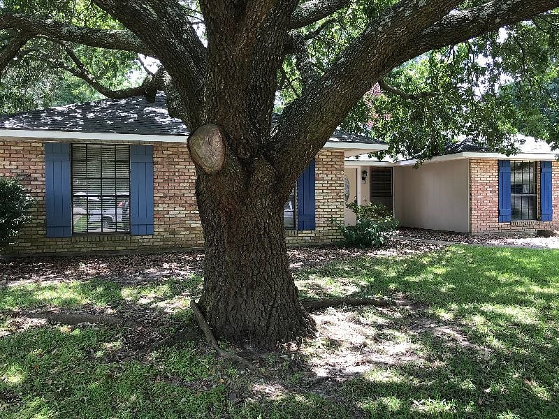Furnished Finder property 608548_1 photo 11