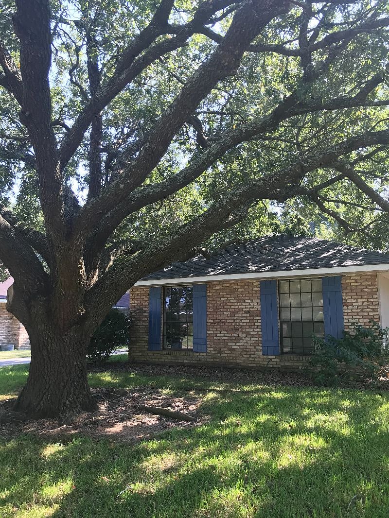 Furnished Finder property 608548_1 photo 13