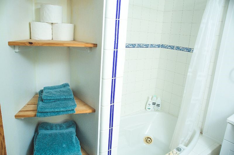 Downstairs shower and jet-tub.