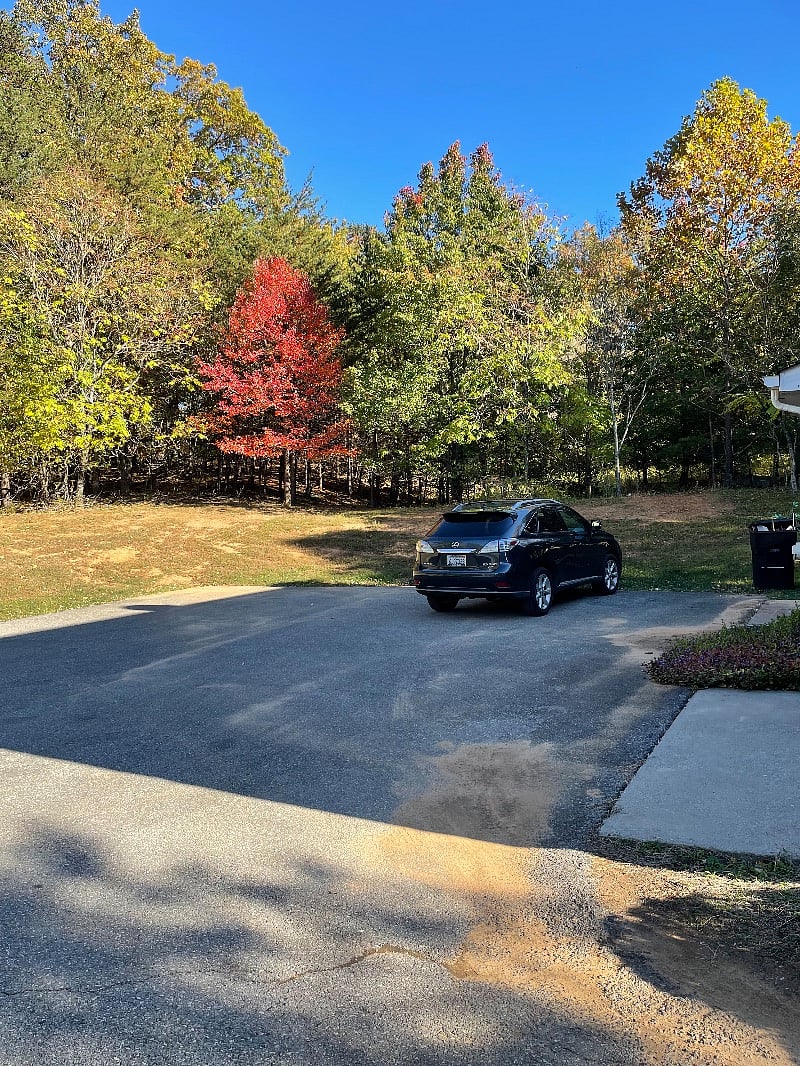 Back of house and parking area.