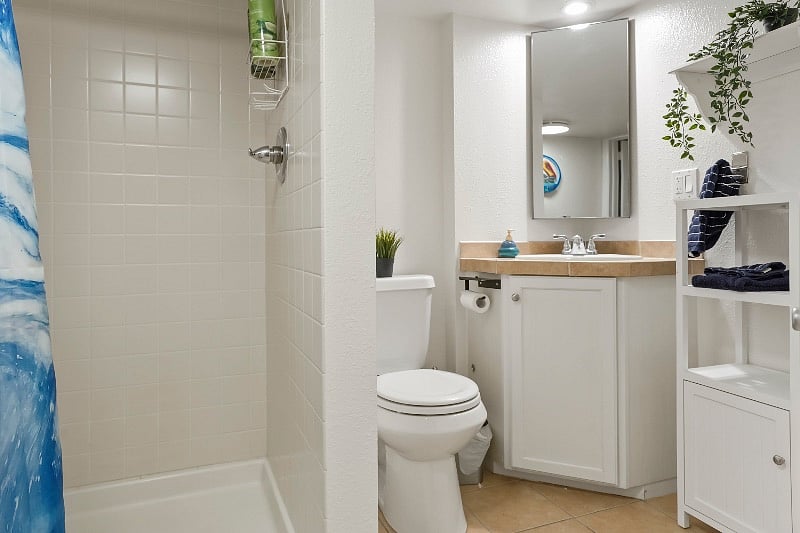 Jack and Jill Bathroom