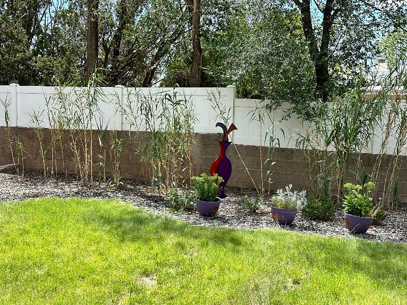 Furnished Finder property 609003_1 photo 13