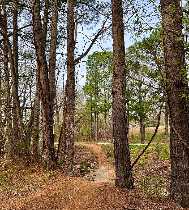 Rago Trail around the corner. Mountain bike/walk/hike from your front door