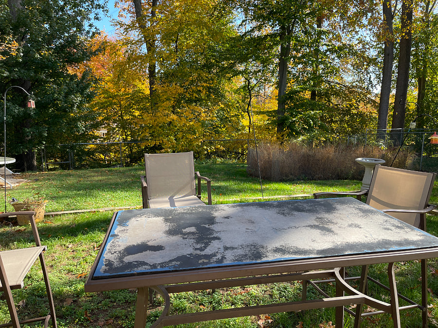 Wonderful relaxing outdoors