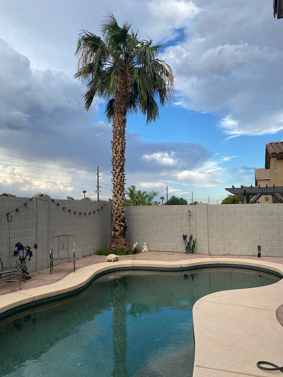 Furnished Finder property 609495_1 photo 8