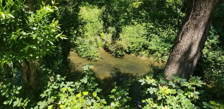 View of river from deck