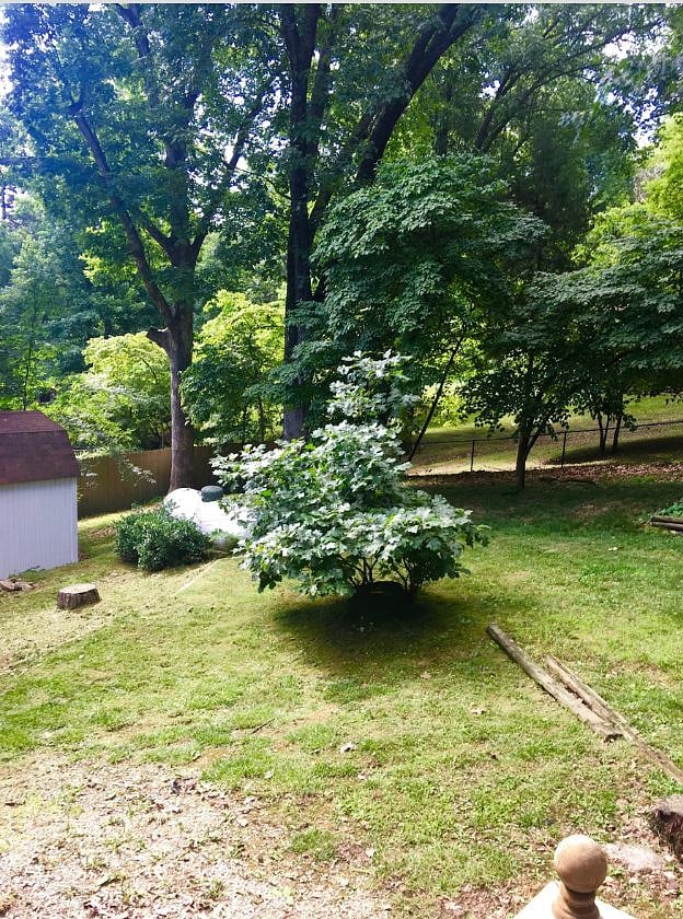 Fenced back yard with propane tank