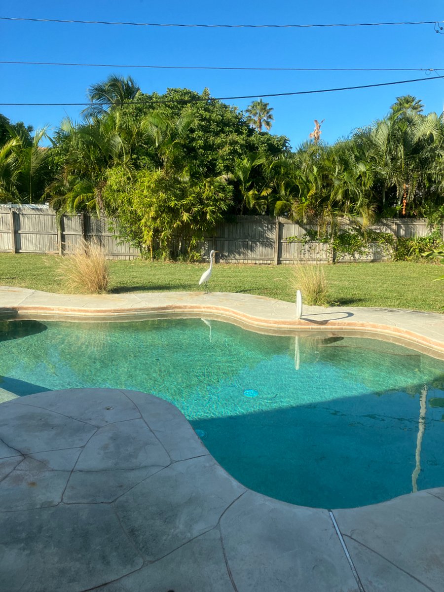 Furnished Finder property 609556_1 photo 37